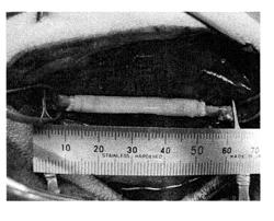 Artificial blood vessel using decellularized blood vessel sheet