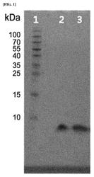 LONG-ACTING INSULIN AND USE THEREOF