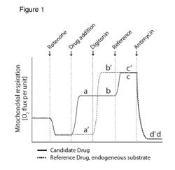 Novel Cell-Permeable Succinate Compounds