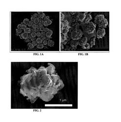 Diketopiperazine microparticles with defined specific surface areas