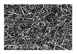 Nanotube solution treated with molecular additive, nanotube film having enhanced adhesion property, and methods for forming the nanotube solution and the nanotube film