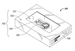 Intervertebral Disc Prosthesis Insertion Assemblies