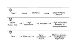 NUCLEIC ACID ENZYME SUBSTRATES