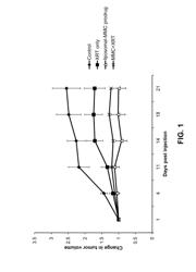 COMBINATION THERAPY COMPRISING A LIPOSOMAL PRODRUG OF MITOMYCIN C AND RADIOTHERAPY