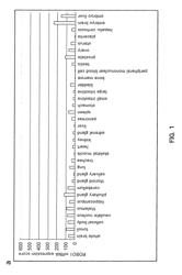 Cancer diagnosis and treatment of cancer using anti-ROBO1 antibody