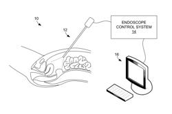 Systems and methods for providing augmented reality in minimally invasive surgery