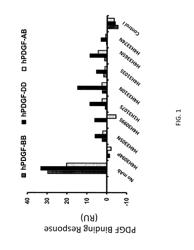 Anti-PDGFR-beta antibodies and uses thereof