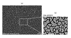 Metal-based particle assembly