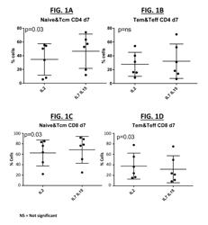 Methods of Preparing T Cells for T Cell Therapy