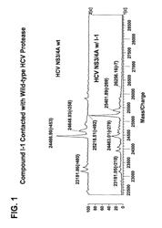 HCV PROTEASE INHIBITORS AND USES THEREOF