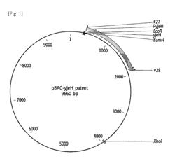 MICROORGANISM PRODUCING O-ACETYL-HOMOSERINE AND METHOD FOR PRODUCING O-ACETYLHOMOSERINE USING THE SAME