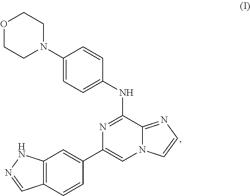 Polymorph of Syk inhibitors