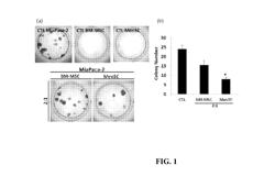 MENSTRUAL BLOOD-DERIVED STEM CELLS FOR THE TREATMENT OF HUMAN PANCREATIC CARCINOMA