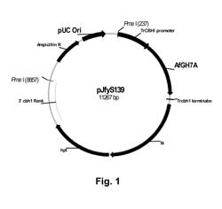 Aspergillus fumigatus cellulolytic enzyme compositions and uses thereof