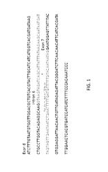 Method to determine zygosity of the FAD3 gene in canola using end-point taqman® PCR