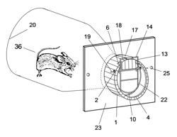 HUMANE MOUSETRAP WITH A NOVEL ENTRANCE DEVICE