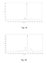 PROCESS FOR PREPARING A POLYMERIZED CASHEW NUT SHELL LIQUID AND ITS USE FOR THE PREPARATION OF A BITUMEN COMPOSITION