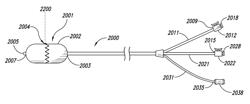 Systems, assemblies, and methods for treating a bronchial tree