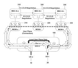 Local data bi-casting between core network and radio access