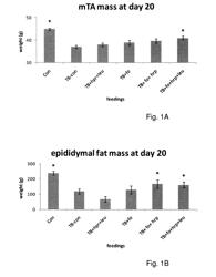 Nutritional Composition for Improving Muscle Function and Daily Activity