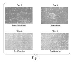 TISSUE TRANSPLANT COMPOSITIONS AND METHODS FOR USE