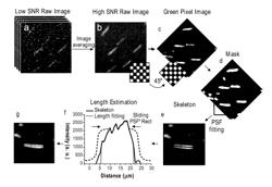 METHOD AND DEVICE FOR SINGLE MOLECULE IMAGING