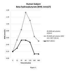 Compositions and methods for producing elevated and sustained ketosis