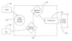 Biometric audio security