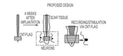 CARBON NANO TUBE BASED ANTENNAS