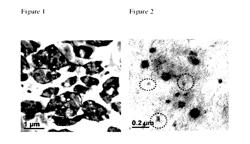 Polypropylene resin suitable for soft nonwoven applications