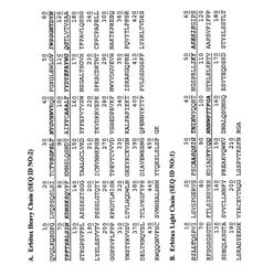 Methods for assessing and identifying or evolving conditionally active therapeutic proteins