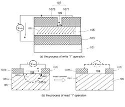 Non-destructive readout ferroelectric memory as well as method of preparing the same and method of operating the same