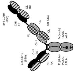 BISPECIFIC T CELL ACTIVATING ANTIGEN BINDING MOLECULES