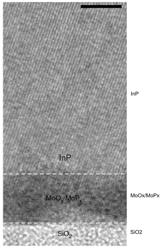 GROWTH OF SINGLE CRYSTAL III-V SEMICONDUCTORS ON AMORPHOUS SUBSTRATES