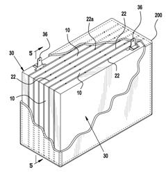 Bipolar Battery and Plate