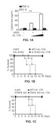 VACCINES WITH INTERLEUKIN-17 AS AN ADJUVANT