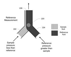 FLUID ANALYZER WITH MODULATION FOR LIQUIDS AND GASES