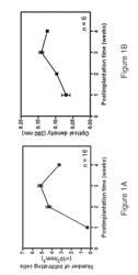 Renal tissue regeneration