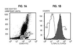 Diagnosis and treatment of cancer expressing ILT3 or ILT3 ligand