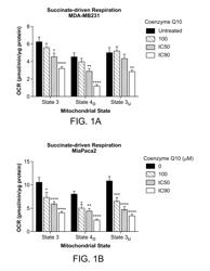 METHODS OF TREATMENT OF TEMOZOLOMIDE-RESISTANT GLIOMA USING COENZYME Q10