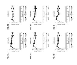 GENETICALLY STABLE LIVE ATTENUATED RESPIRATORY SYNCYTIAL VIRUS VACCINE AND ITS PRODUCTION