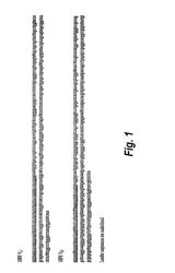 HUMAN MONOCLONAL ANTIBODIES AGAINST INTERLEUKIN 8 (IL-8)