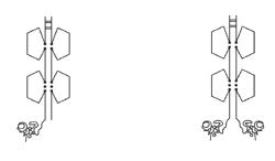 CARRIER IMMUNOGLOBULINS