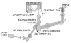 Method for nerve detection by raman scattering spectroscopy