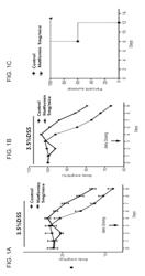 Composition comprising metformin as active ingredient for preventing or treating inflammatory bowel disease