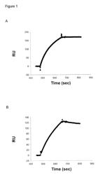 Cross-protective pathogen protection, methods and compositions thereof