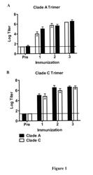 Biochemically stabilized HIV-1 ENV trimer vaccine