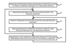 Function evaluation using lightweight process snapshots