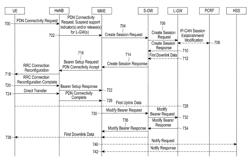 Method and apparatus for supporting local access and voice communication in a local network