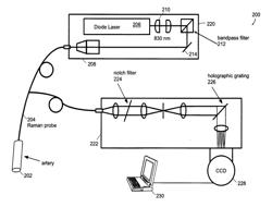 SYSTEMS AND METHODS FOR SPECTROSCOPY OF BIOLOGICAL TISSUE